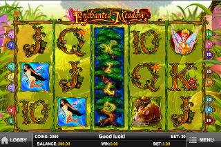 Prairie Enchantée Sauvage