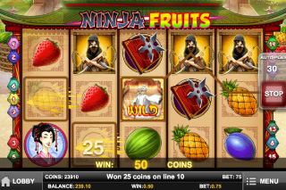 Capture d'écran de la Machine à Sous Mobile Ninja Fruits