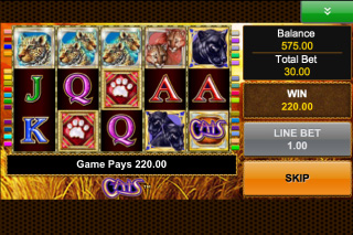 Capture d'écran de Cats Mobile Slot