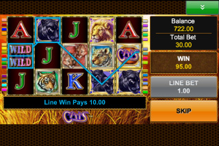 Victoire de la Machine à Sous Mobile Cats