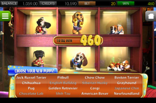 Fente Mobile Puppy Love Choisissez-Moi