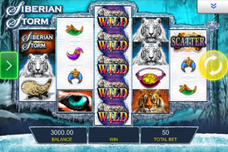 Machine à Sous Mobile Siberian Storm Wilds