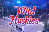 Logo de la Machine à Sous Mobile Wild Huskies
