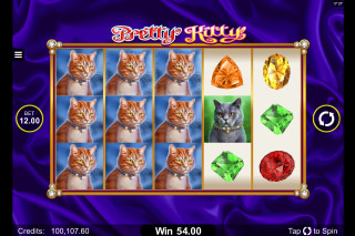 Rouleaux de Machines à Sous Mobiles Pretty Kitty