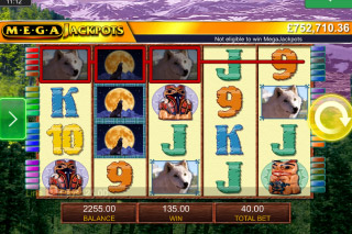 Rouleaux de Machines à Sous Mobiles MegaJackpots Wolf Run