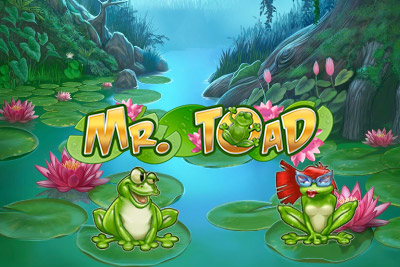 Logo de la Machine à Sous Mobile Mr Toad